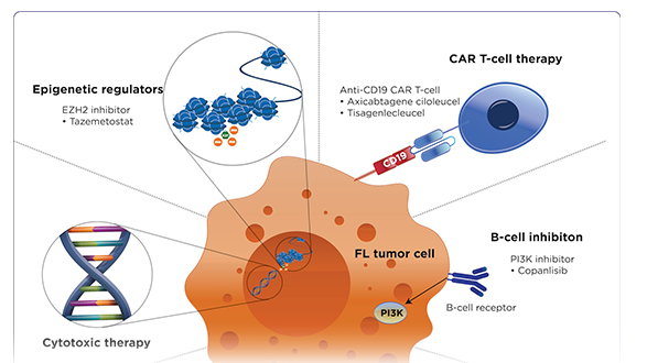 Safety in Subsequent Lines of Therapy in Patients With Relapsed Refractory Follicular Lymphoma