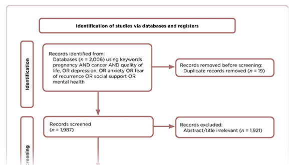 Perceptions of Quality of Life for Women Pregnant During a Cancer Diagnosis: A Review of the Literature
