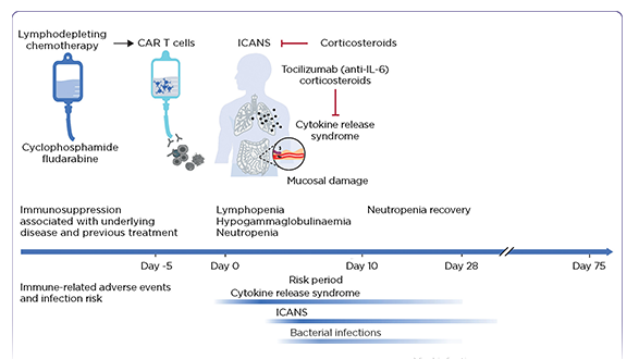 CAR T-Cell Therapy Unveiled: Navigating Beyond CRS and ICANS to Address Delayed Complications and Optimize Management Strategies