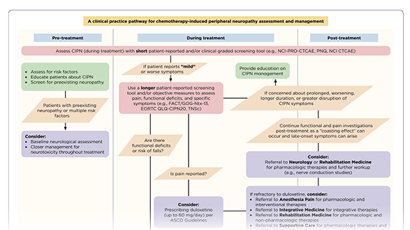 Implementation of an Interdisciplinary Clinical Pathway to Treat Chemotherapy-Induced Peripheral Neuropathy 