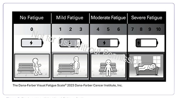 A Visual Fatigue Scale to Measure Cancer-Related Fatigue: The Process of Development