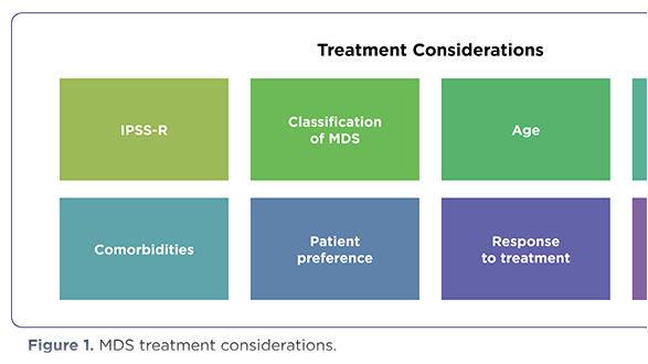 Management of Myelodysplastic Syndromes: Emerging Therapies and Evidence-Based Practice